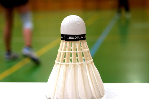 Badminton