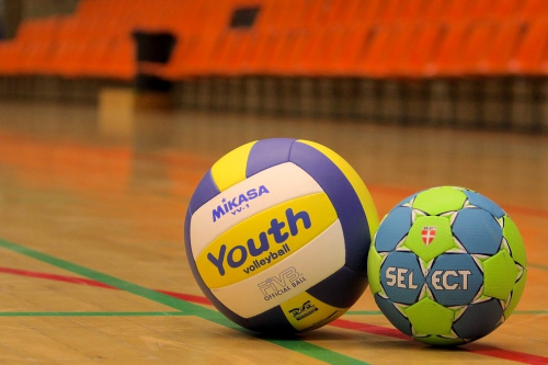 Ballsport
